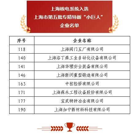 上海閥門五廠 以突破性閥門基礎(chǔ)軟件躋身“小巨人”，砥礪前行無(wú)畏創(chuàng)新華章