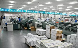 從羊皮卷到生物基 中國工廠如何用科技創新改寫全球圣經印刷史