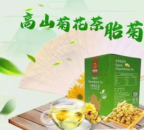 云陽(yáng)三峽陽(yáng)菊 嶺上盛開(kāi)的幸福之花